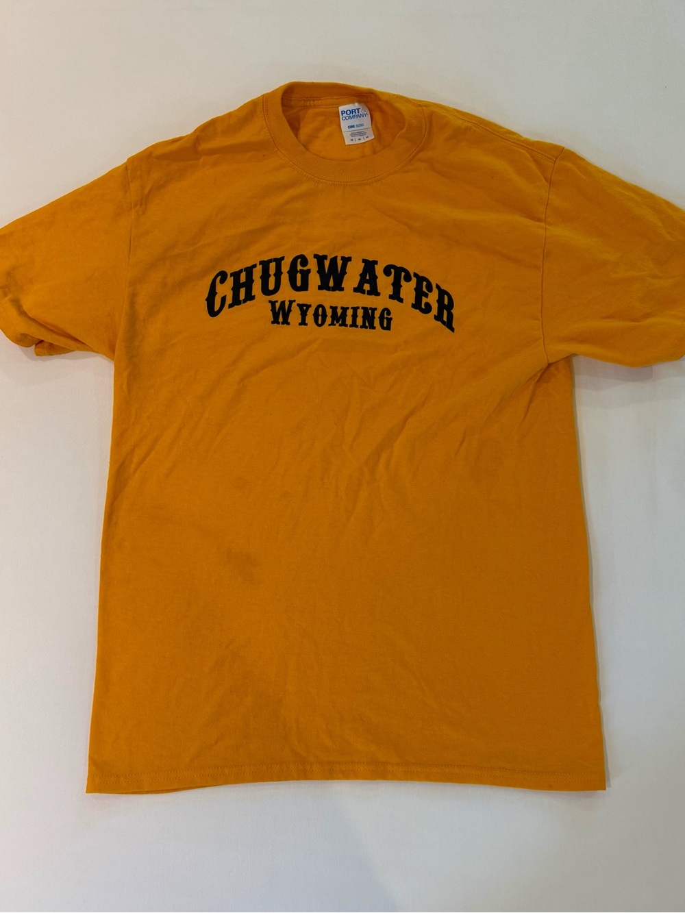 Port and Company Chugwater Wyoming Tee - Gold